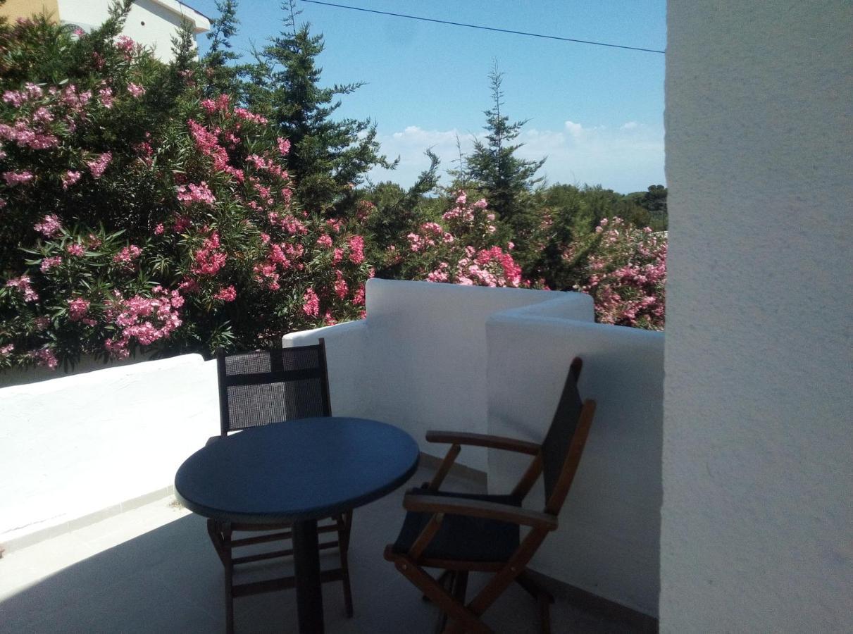 Apartments And Rooms Camelia Premantura Zewnętrze zdjęcie